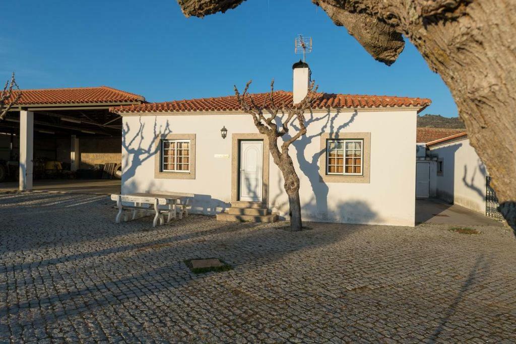 Quinta Sta Luzia Carrascal Villa Вила Флор Екстериор снимка